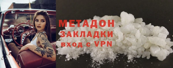 прущие грибы Осташков