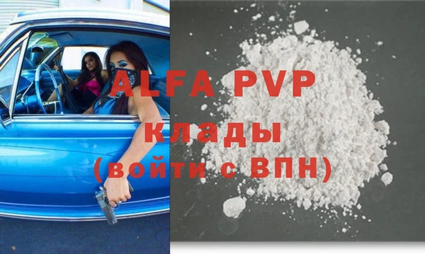 прущие грибы Осташков