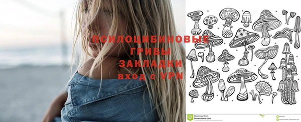 прущие грибы Осташков